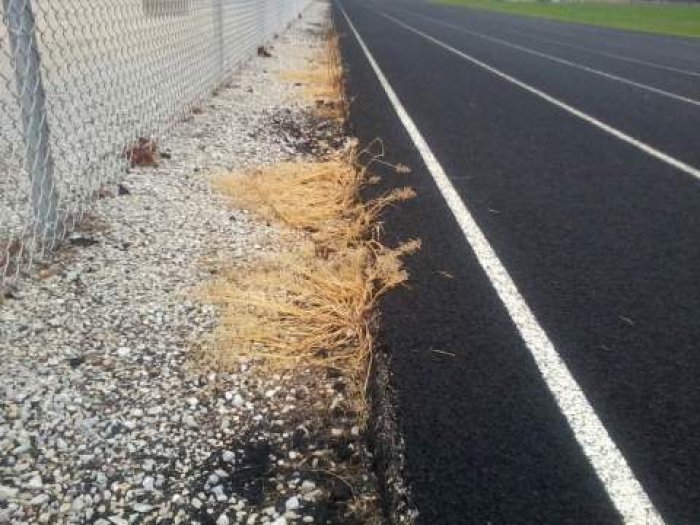 LMS track edge22012.jpg