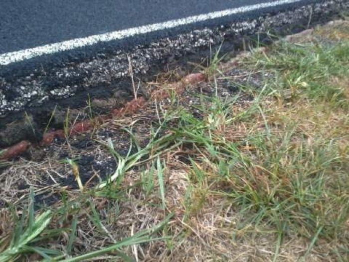 LMS track edge32012.jpg