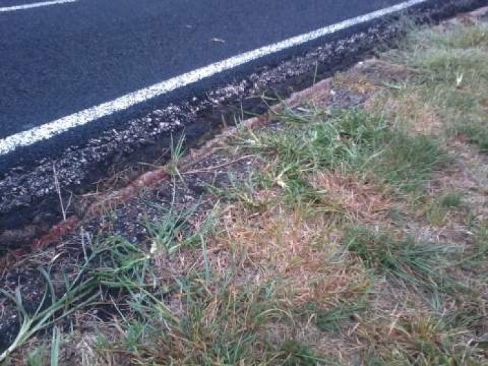 LMS track edge42012.jpg