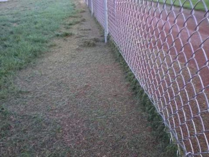 mowing grass onto skinned area.jpg