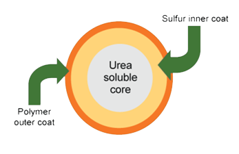 Urea Core